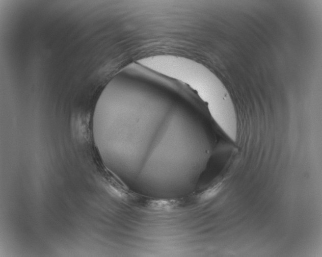 X0000052960239200508050956