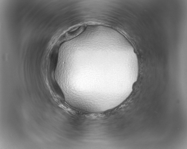 X0000052960241200508050955