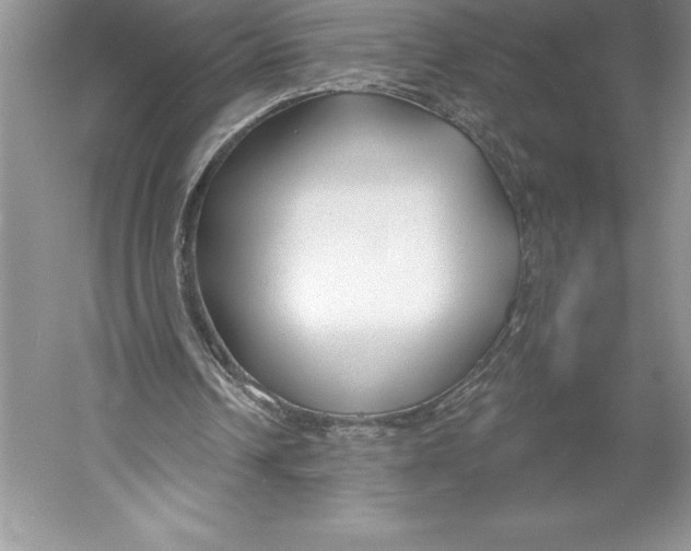X0000052960242200508050955