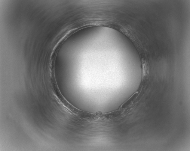 X0000052960243200508050956