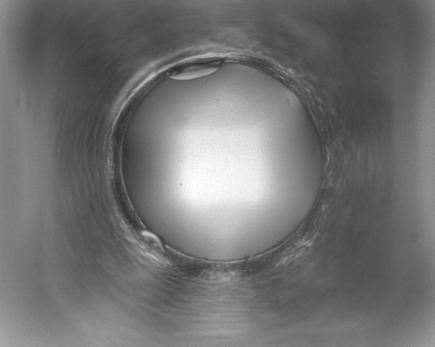X0000052960247200508050956