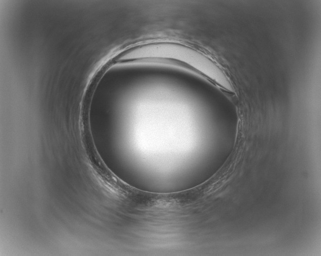 X0000052960248200508050956