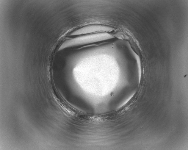 X0000052960249200508050956
