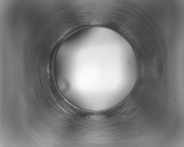 X0000052960251200508050956
