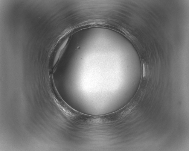 X0000052960253200508050956