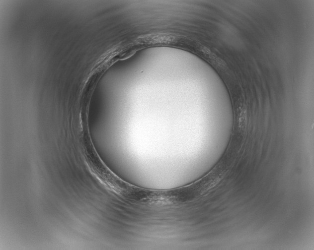 X0000052960254200508050956