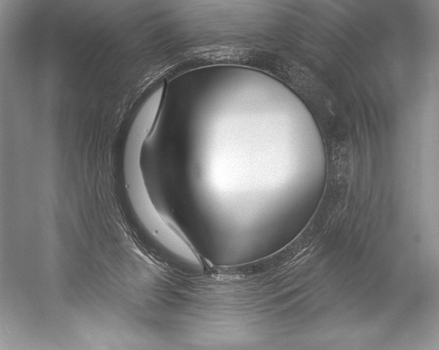 X0000052960255200508050956