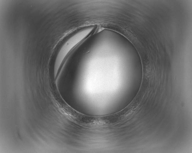 X0000052960256200508050956