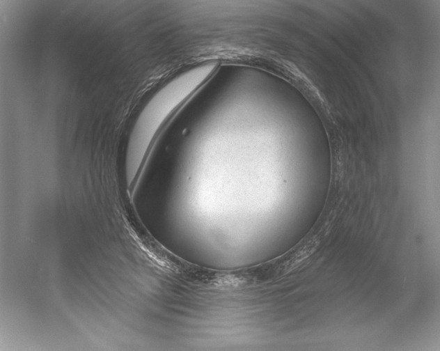 X0000052960257200508050956