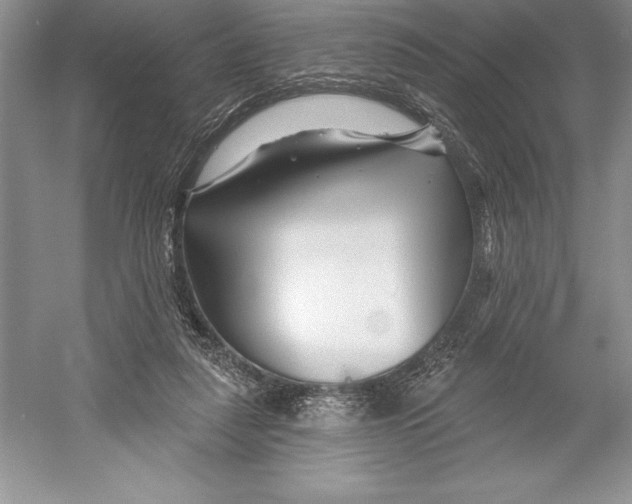 X0000052960259200508050956