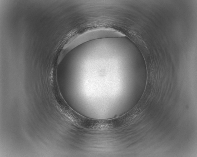 X0000052960260200508050956