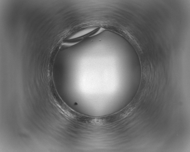 X0000052960261200508050956