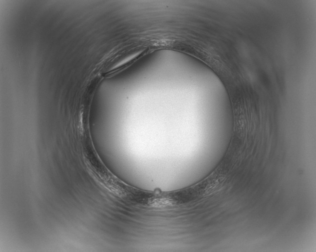 X0000052960262200508050956