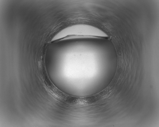 X0000052960263200508050956