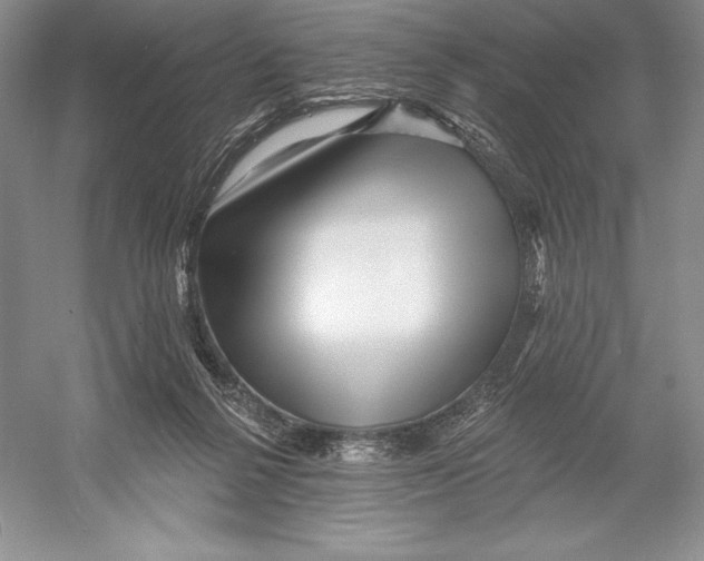 X0000052960264200508050956
