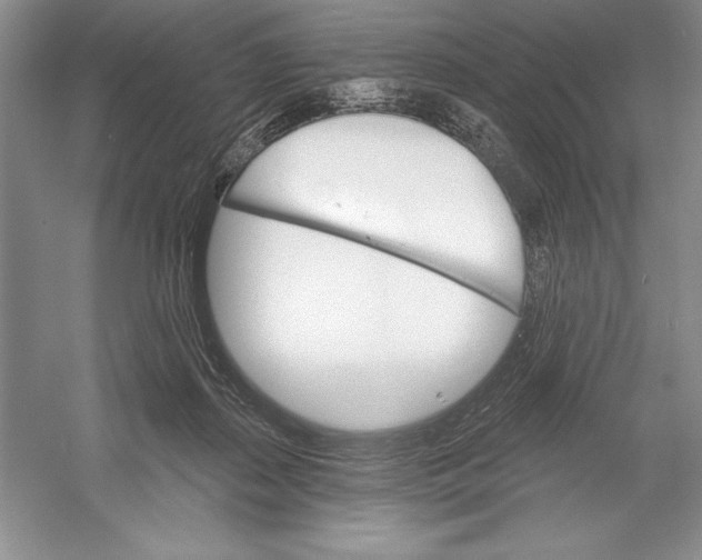 X0000052960267200508050956
