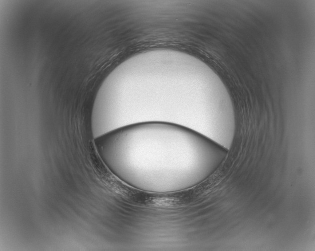 X0000052960268200508050956
