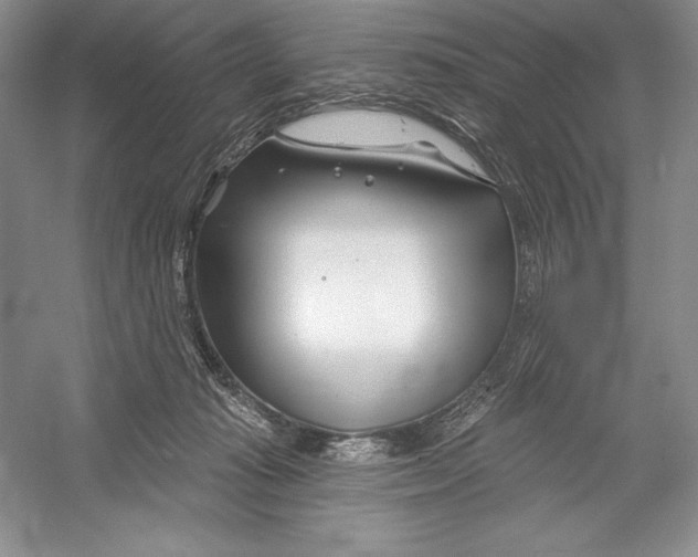 X0000052960269200508050956