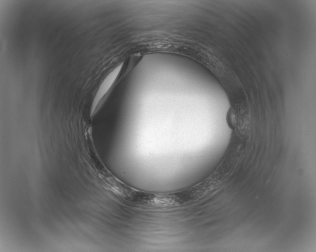 X0000052960270200508050956