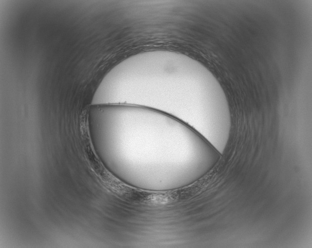 X0000052960272200508050956