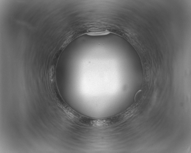 X0000052960273200508050956