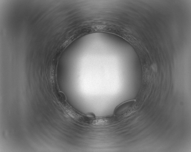 X0000052960274200508050956