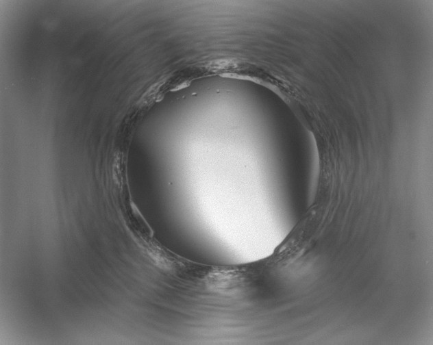 X0000052960280200508050956