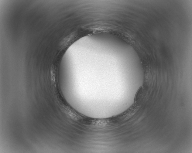 X0000052960282200508050956