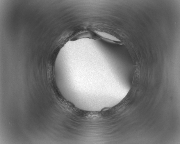 X0000052960283200508050956