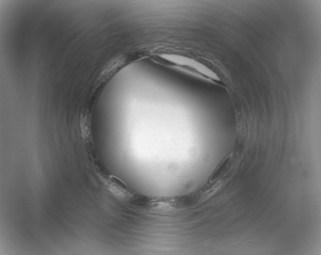 X0000052960285200508050956