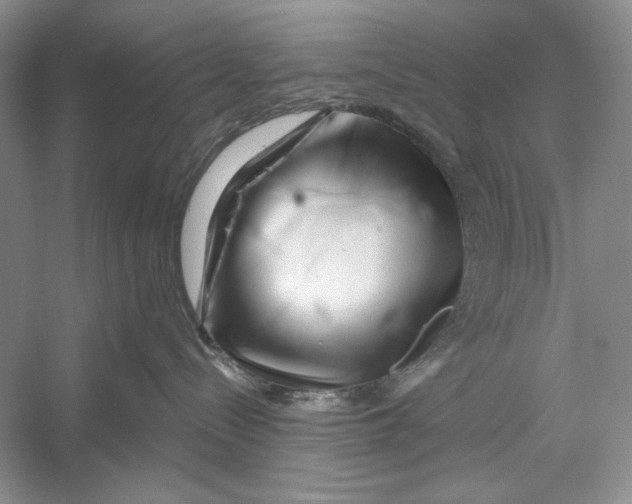 X0000052960288200508050956