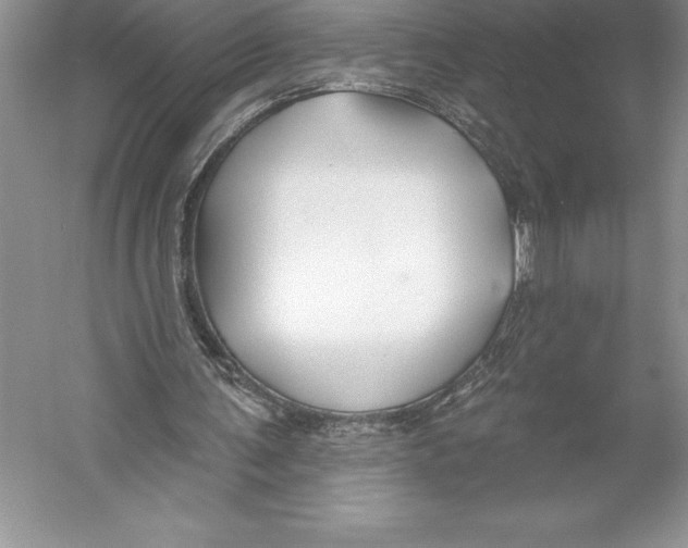 X0000052960291200508050955