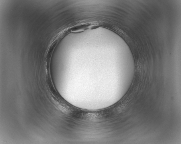 X0000052960302200508050955