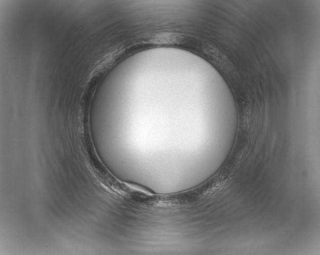 X0000052960303200508050955