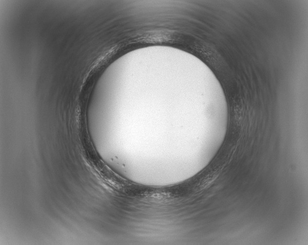 X0000052960304200508050955