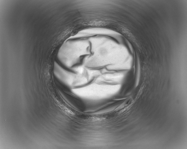X0000052960305200508050955
