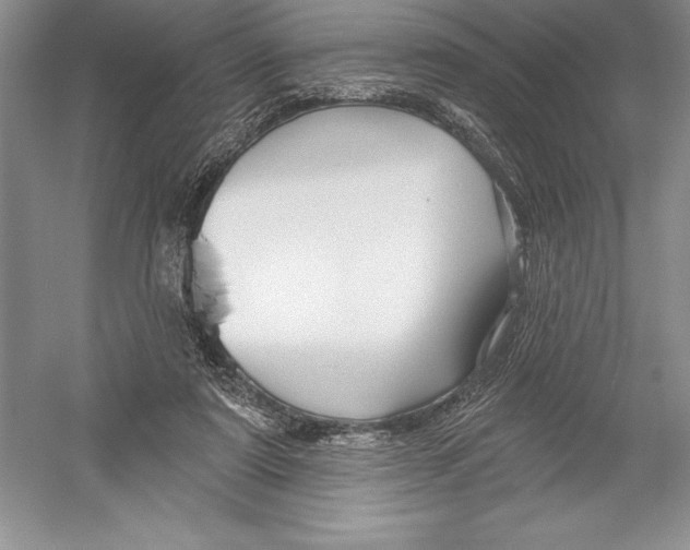 X0000052960307200508050955