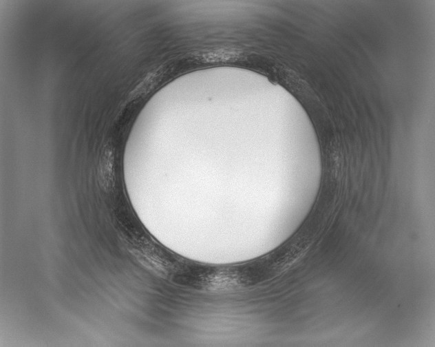 X0000052960308200508050955