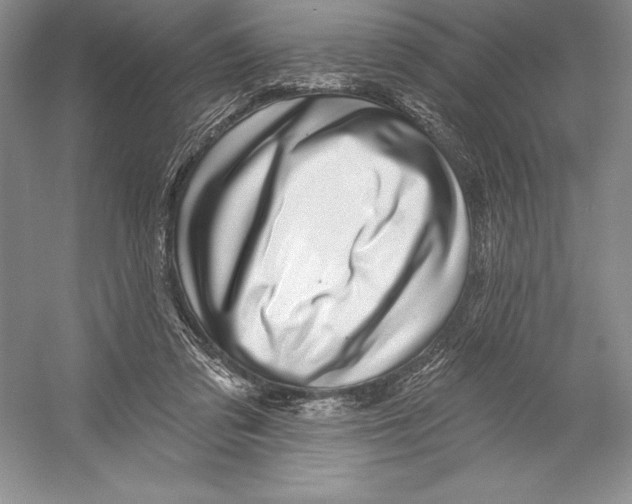 X0000052960309200508050955