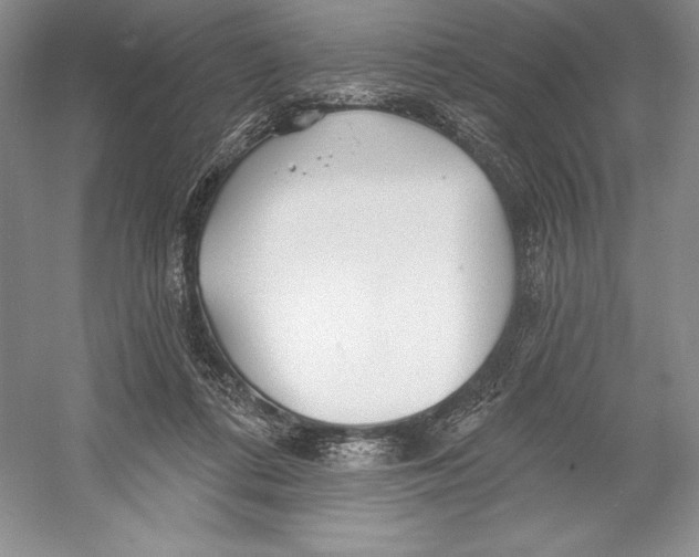 X0000052960312200508050955