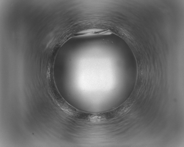 X0000052960315200508050955