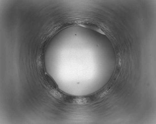 X0000052960317200508050955