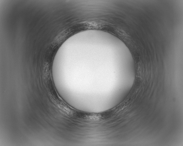 X0000052960318200508050955