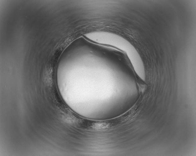 X0000052960319200508050955