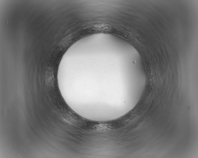 X0000052960320200508050955