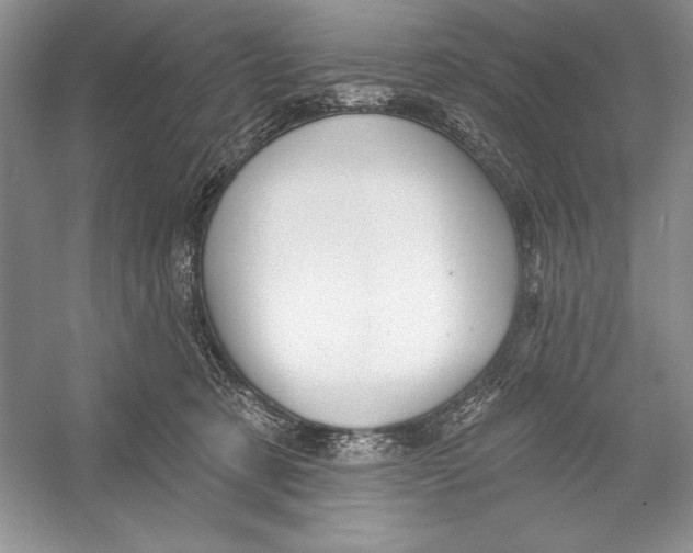 X0000052960321200508050955