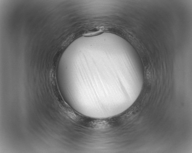 X0000052960322200508050955