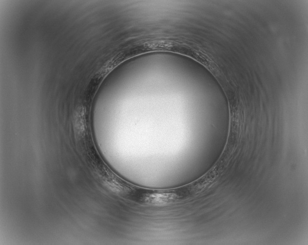 X0000052960323200508050955