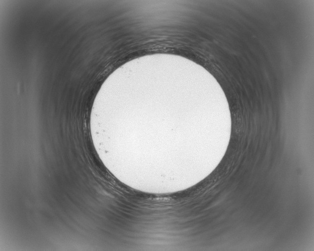 X0000052960324200508050955