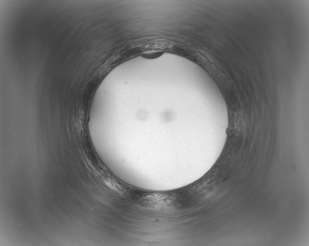 X0000052960326200508050955
